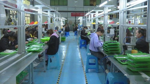 訂單式生產與電商運營雙輪驅動，安龍電子產品產業前景廣闊